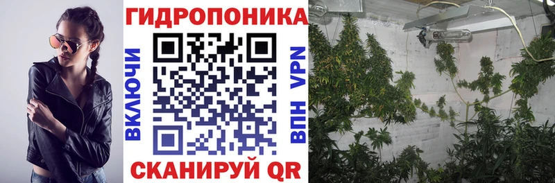 Бошки Шишки план  Голицыно 